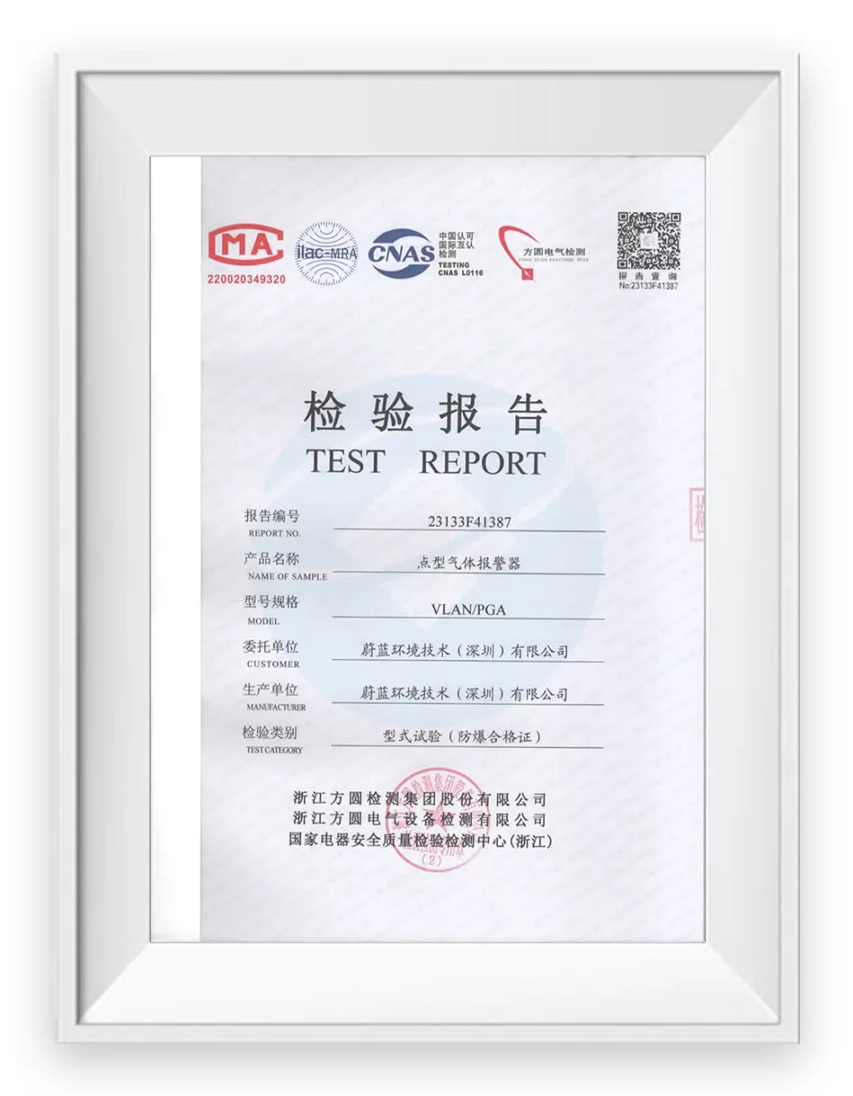 点型气体编辑器检验报告